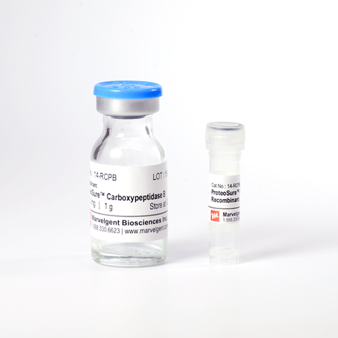 ProteoSure™ Recombinant Carboxypeptidase B