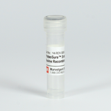 ProteoSure™ Recombinant Bovine Enterokinase