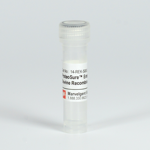 ProteoSure™ Recombinant Bovine Enterokinase