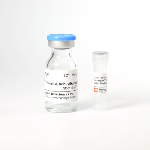 ProteoSure™ Recombinant Protein A, Acid-, Alkali-stable