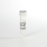 ProteoSure™ Recombinant Carboxypeptidase B, for Proteomic Sequencing and Mass Spectrometry Analysis