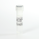 ProteoSure™ Recombinant Endoproteinase Lys-C, for Proteomic Sequencing and Mass Spectrometry Analysis