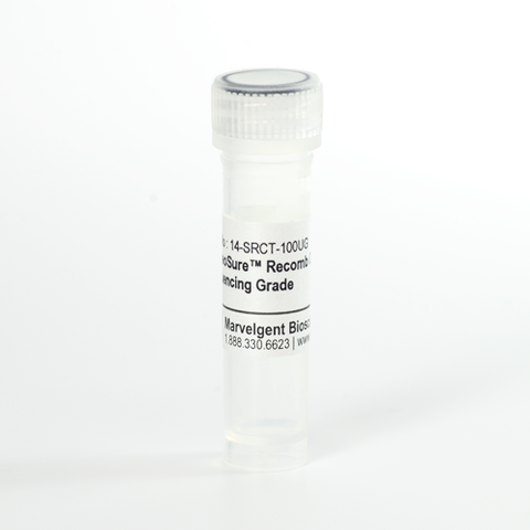 ProteoSure™ Recombinant Endoproteinase Lys-C, for Proteomic Sequencing and Mass Spectrometry Analysis