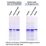 PROTEINDEX™ Anti-DYKDDDDK Agarose 4 Fast Flow