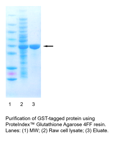 PROTEINDEX Glutathione Agarose 4FF Prepacked Cartridge | Marvelgent Biosciences PROTEINDEX Glutathione Agarose 4FF Prepacked Cartridge | Marvelgent Biosciences