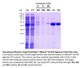 PROTEINDEX™ HiBond™ Ni-NTA Agarose 6FF, Prepacked Cartridge