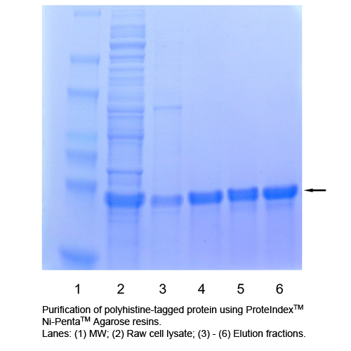 PROTEINDEX™ Ni-Penta™ Agarose 6FF Prepacked Cartridge