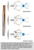 PROTEINDEX™ HiBond™ Ni-NTA Agarose