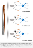 PROTEINDEX™ Ni-Penta™ Agarose 6 Fast Flow, Chemical Stable