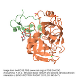 ProteoSure™ Recombinant Porcine Trypsin