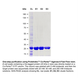 PROTEINDEX™ Co-Penta™ Agarose 6 Fast Flow, Chemical Stable